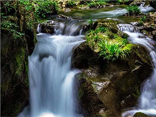 張家界旅游重大發(fā)現(xiàn)：無冬天更無夏天——張家界地縫景區(qū)